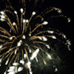 Meet your Posher, Annalisa